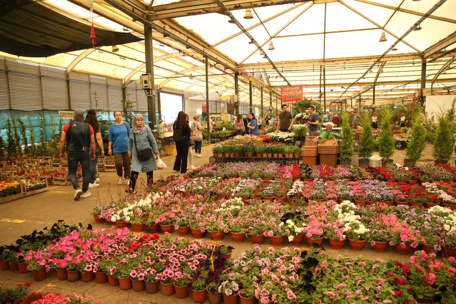 İzmir’in ilk Balkon ve Bahçe Bitkileri Festivali başlıyor